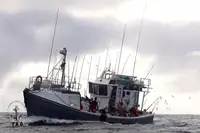 Trawler til salg
