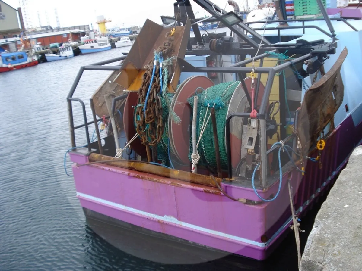Levende fisketransportskib til salg
