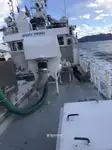 Purse seiner til salg