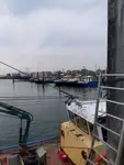 Trawler til salg