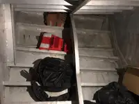 Containerskib til salg