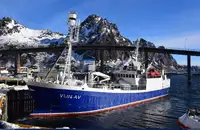 Purse seiner til salg