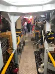 Trækbåd til salg