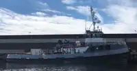 Trækbåd til salg