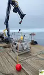 Arbejdsbåde til salg