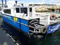 Katamaran til salg
