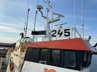 Bulkskib til salg