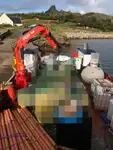 Arbejdsbåde til salg