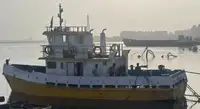 Trækbåd til salg