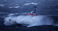 Bugserbåd til salg