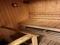 Krydstogtskib til salg