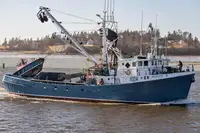 Purse seiner til salg
