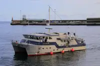 Landmålingsfartøj til salg