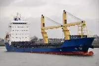 Bulkskib til salg