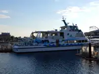 Passagerskib til salg
