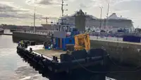 Containerskib til salg