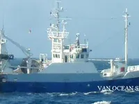 Trawler til salg