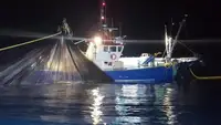 Trawler til salg