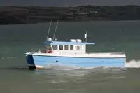 Katamaran til salg