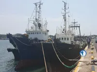 Trawler til salg