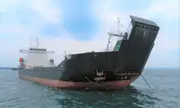Containerskib til salg