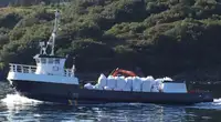 Arbejdsbåde til salg