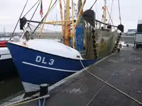Trawler til salg