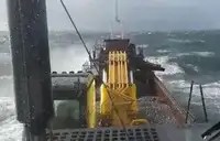 Dredge til salg