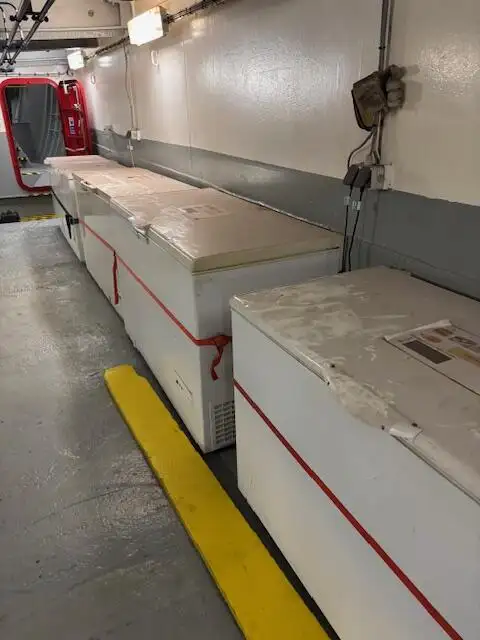 Arbejdsbåde til salg