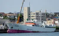 Trawler til salg