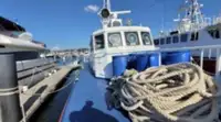 Patruljebåd til salg