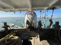 Dredge til salg