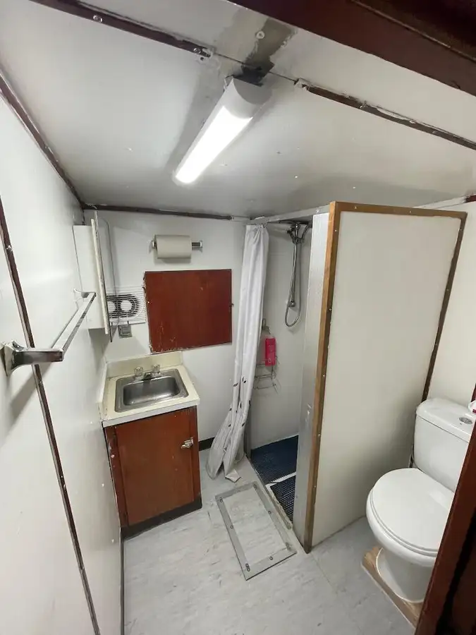 Containerskib til salg