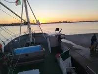 Trawler til salg