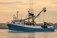 Purse seiner til salg
