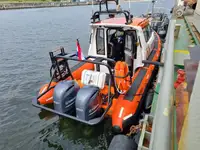 Containerskib til salg