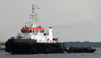 Trækbåd til salg