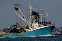 Purse seiner til salg