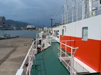 Langliner til salg