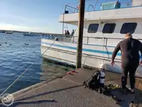 Færgefartøj til salg