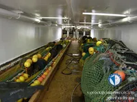 Trawler til salg
