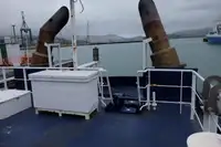 Bugserbåd til salg