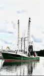 Trawler til salg