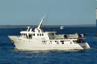 Trawler til salg