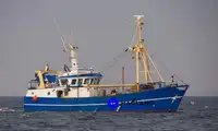 Beam-trawler til salg