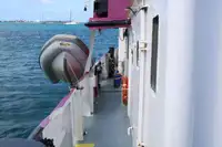 General Cargo/Multi-purpose til salg
