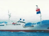 Langliner til salg