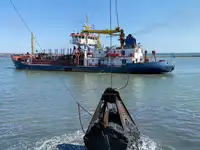 Dredge til salg