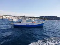 Trawler til salg