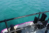 General Cargo/Multi-purpose til salg
